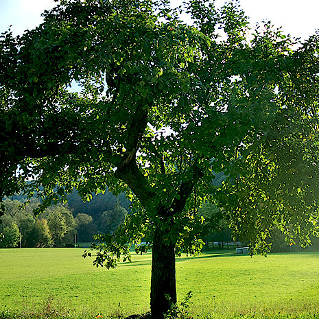 Respect de l’environnement